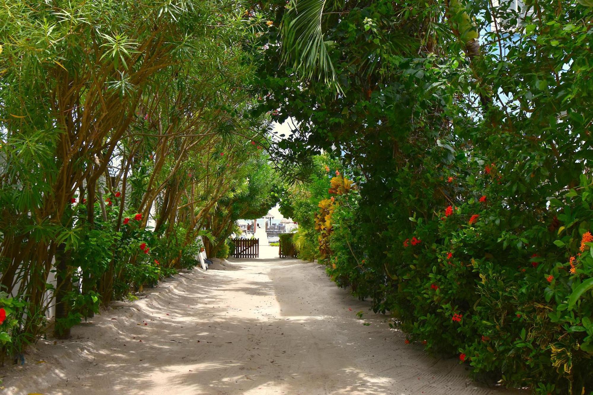 Palmetto Garden Cottage เคย์คอล์กเกอร์ ภายนอก รูปภาพ